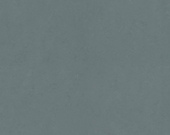 [100111113_29] Marmoleum Concrete - 3756 Neptune